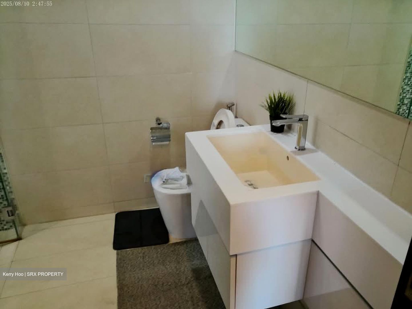 The Rochester Residences (D5), Apartment #585567241